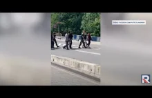 Niemcy przerzucają imigrantów przez las do Polski?! Szokujące doniesienia z gran