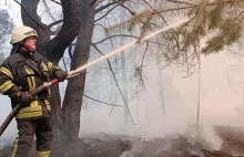 Na Ukrainie zaczął się sezon pożarów lasów. Pod Kijowem gasiło wojsko