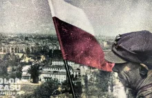 Dzień Zwycięstwa mało ważny w stolicy i na polskiej prowincji - Gazeta Trybunals