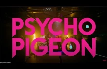 Psycho Pigeon - Żywo Gruchnęło! | LIVESESSION