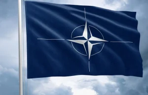 NATO zaproponuje Ukrainie "model izraelski"?