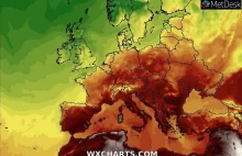 Żar będzie lał się z nieba. Jest najnowsza prognoza - WP Wiadomości