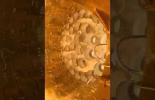 SpaceX Starship lot 10, widok z spod stanowiska startowego