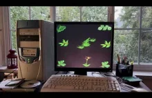 Windows 98SE dźwięki uruchamiania i zamykania z theme "Dżungla" z pakietu Plus