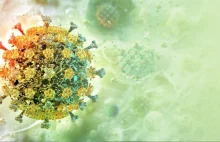 Nowa pandemia na horyzoncie? Eksperci ostrzegają przed groźnymi mutacjami