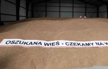 Rolnicy mylą się, twierdząc, że ich sytuacja jest zła przez import z Ukrainy