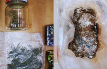 Do 12 lat więzienia za marihuanę i grzyby psylocybinowe