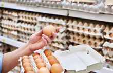 Helmut marzy o jajach