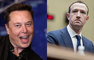 Elon Musk chce się bić z Zuckerbergiem, ale pęka...