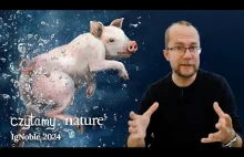 Czy można oddychać przez odbyt? IgNobel z fizjologii 2024