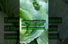 Top 5 Benefits of Cabbage #cabbage