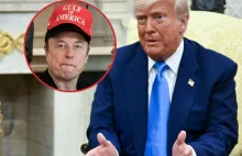 Bolesny upadek z samego szczytu. Elon Musk poddaje się i ucieka z polityki.