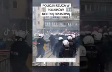 Policjant rzuca w tłum kamieniami.