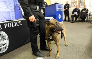 California może wykluczyć psy policyjne z aresztowań, bo rasizm