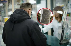 Medyczna marihuana już nie do zdobycia? "Pacjenci są przerażeni"