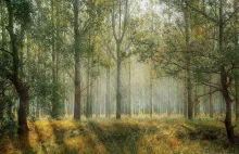 W Polsce zostanie ograniczona wycinka lasów! Powstanie też 9 "lasów społecznych"