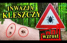 Coraz więcej KLESZCZY! - Mały wampir, duży strach