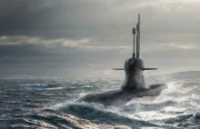 Orka ze Szwecji - zapadła decyzja!