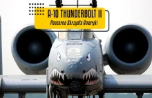 A-10 Thunderbolt II "Warthog" - Potęga i Wielozadaniowość