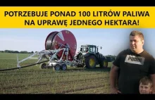 Mimo, że gospodarzy na Żuławach to bez deszczowni nie mógłby uprawiać cebuli!