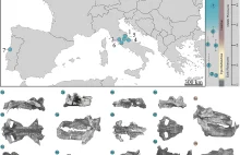 Zidentyfikowano najstarszą czaszkę hipopotama na kontynencie europejskim