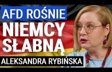 Skąd wziął się sukces AfD ? Dlaczego są liderem sondaży?
