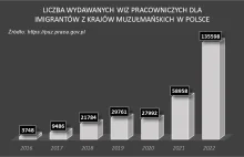 PiS islamizuje Polskę. Za ich rządów wydano 287k wiz pracowniczych