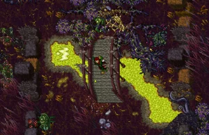 Tibia - nowe wymagania sprzętowe