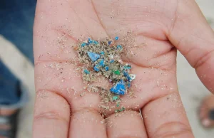 Znaleźli mikroplastik w glebie pochodzącej z I wieku naszej ery