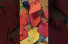 Szok na polskim parkingu