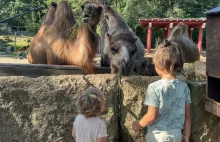 Zoo Görlitz - małe kameralne zoo idealne dla rodzinnych wycieczek