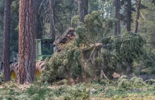 USA: urzędnik zawieszony za rekrutowanie według kwalifikacji, a nie tożsamości