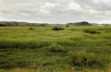 Zwrot w sprawie działaki pod CPK: KOWR wzywa nabywcę do zwrotu działki