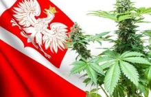 Legalizacja marihuany w Polsce