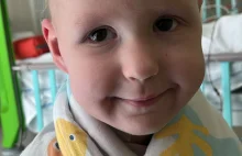 Aktualizacja - Ala Śniarowska - zbiórka