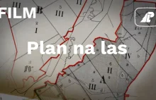 "Plan na las" o tym jak organizowały się i nadal organizują PLP