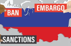 Jak Rosja omija sankcje? (na przykładzie Niemiec)