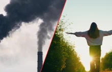 Wchodzi w życie podatek węglowy: Polacy zapłacą więcej, ale planeta odetchnie XD