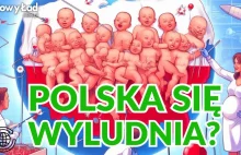 Czy Polska się wyludnia? Co zrobić by rodziło się więcej Polek i Polaków? Ariel