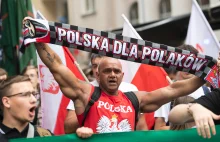 Liczny Antyimigracyjny Marsz Polska dla Polaków, Polacy dla Polski w Warszawie