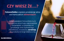 Kiedy zaciemnianie upraw panelami PV się opłaca?