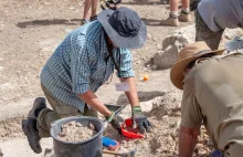 Tajemnicza budowla z początków Mezopotamii. Sensacyjne odkrycie