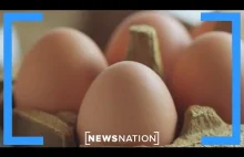 USA pojawił się problem z przemytem jajek i innych artykułów spożywczych