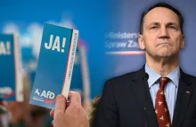 Radek Sikorski prętem po kratach konfederuskich i AfDowskich zdrajców.ALEŻ ORKA!