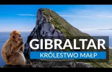 GIBRALTAR - Królestwo małp | Atrakcje Skały Gibraltarskiej