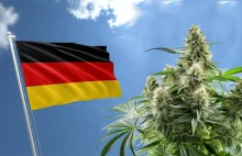 Pierwsze czytanie niemieckiej ustawy o legalizacji marihuany już dziś!
