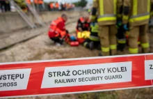 Irańczycy nielegalnie przekroczyli polsko-białoruską granicę.