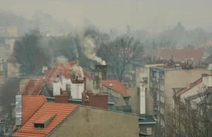 Rząd będzie reanimować program Czyste powietrze
