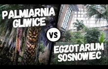 Egzotarium Sosnowiec vs Palmiarnia Gliwice