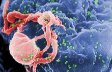 WHO ostrzega przed lekoopornością wirusa HIV